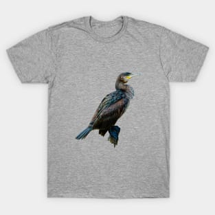 Cormorant T-Shirt